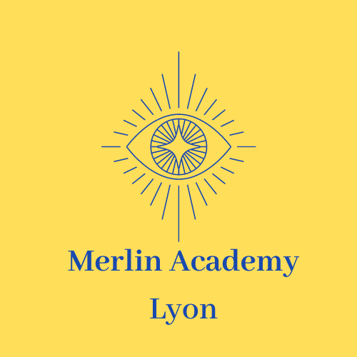 Merlin Academy Lyon